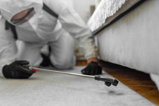 Professional Emergency Pest Control technician working in Southwest Sandhill, TX