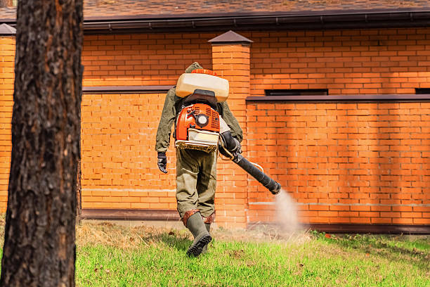 Trusted Bed Bug Control service in Southwest Sandhill, TX - Nex Pest Control